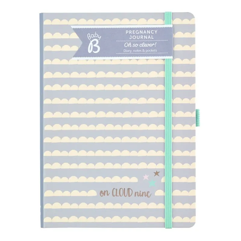 Pamiętnik ciążowy Busy B Pregnancy Journal