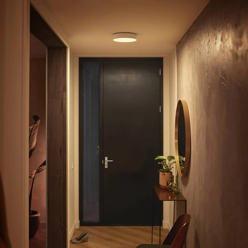 Philips Hue Enrave lampa sufitowa LED 26,1 cm biała