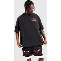 Jordan T-Shirt M J Flt Reis Lgnd Ss Crew