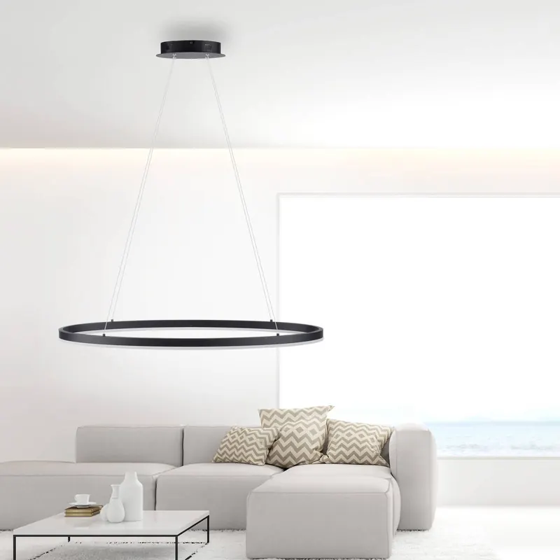 Lampa wisząca LED Paul Neuhaus Titus, owalna 80x39cm