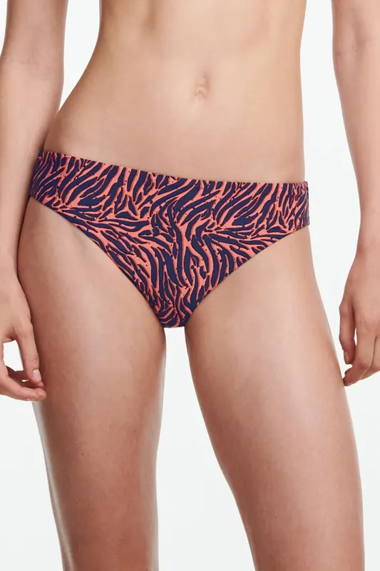 Femilet Sw Bo. Brief Std Std W. Zebra Maat: 38 | Bikini's Outlet | Dames | Blauw