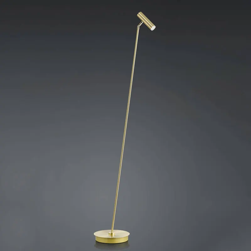 Lampa stojąca LED Tom, ściemniana, mosiądz