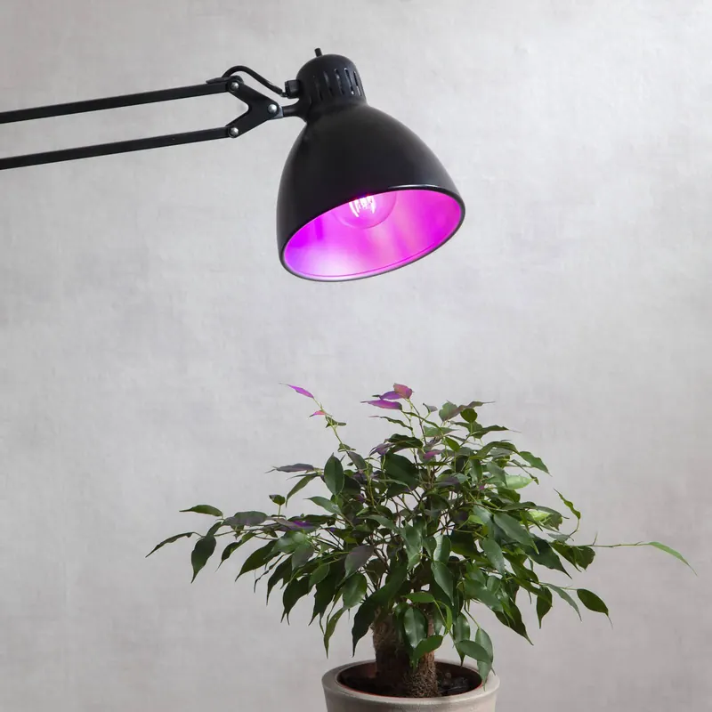 Żarówka LED do roślin, żarówka A60, E27, 6,5 W, czerwona