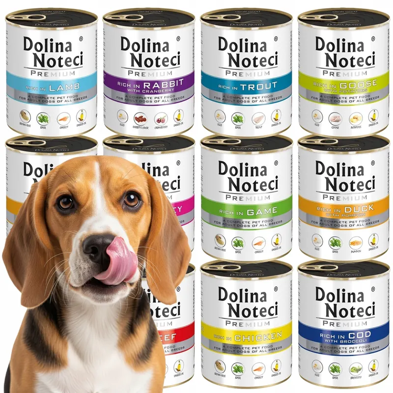 10 x Dolina Noteci Premium 800G Karma Mokra Dla Psa MIX Smaków