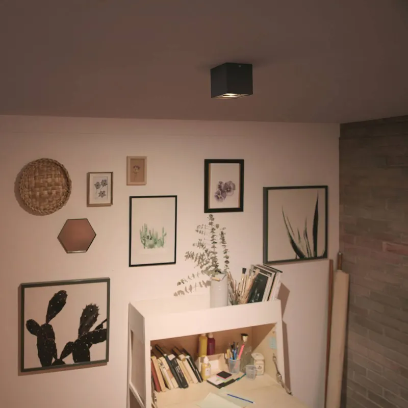 Philips myLiving Box spot LED1-punktowy czarny