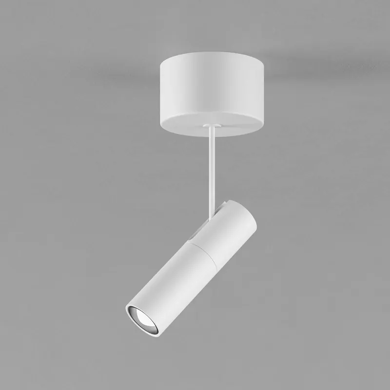 Reflektor sufitowy Egger DLS Zooom XL T, białe aluminium 2700K, ściemniany
