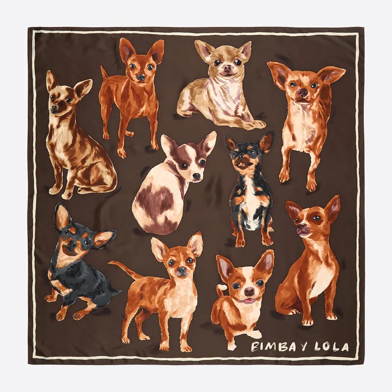 Chusta Chihuahua brązowa