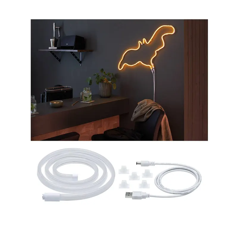 Paulmann Taśma LED Neon Colorflex USB 1 m pomarańczowa
