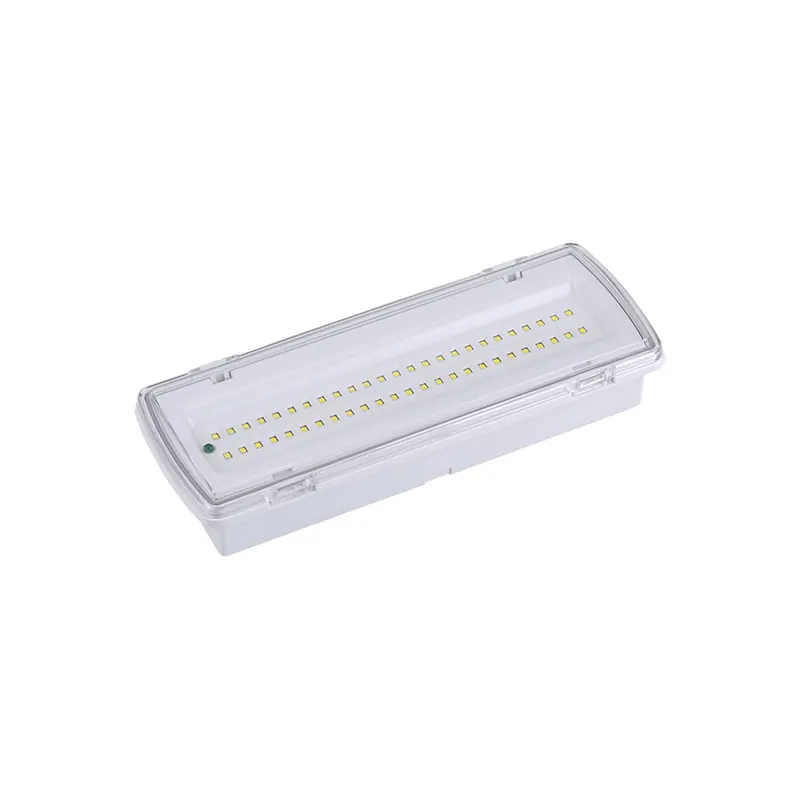 Oświetlenie drogi ewakuacyjnej LED Wasen do montażu natynkowego, IP65 4000K