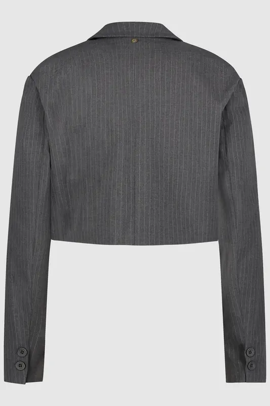 Circle of Trust Laura Blazer Dark Grey Stripe Maat: L | Blazers Outlet | Dames | Grijs