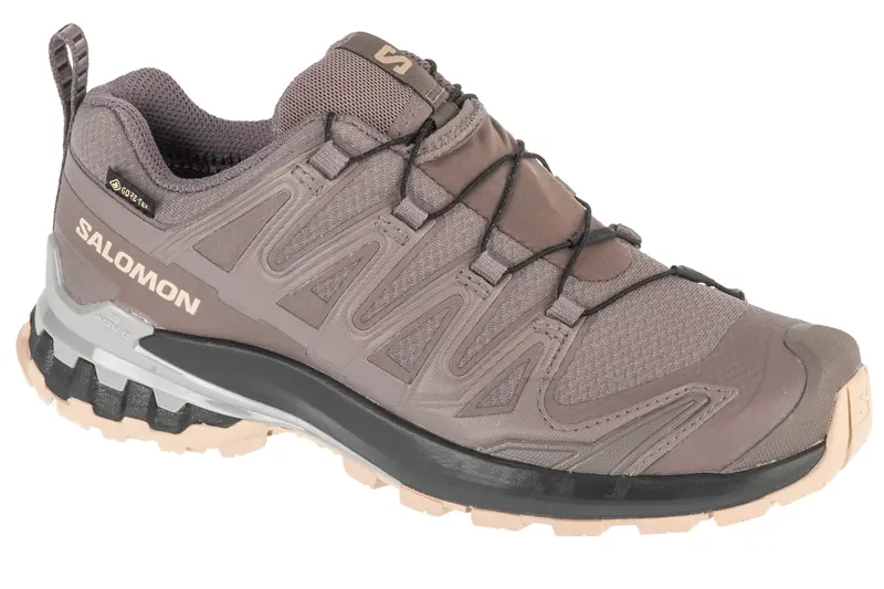Salomon XA Pro 3D v9 GTX W L47744500, Damskie, Szare, buty do biegania, tkanina, rozmiar: 39 1/3