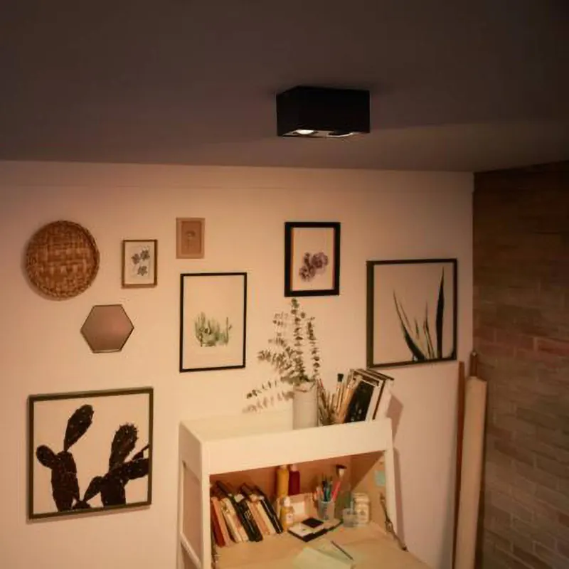 Philips myLiving Box spot LED 2-punktowy czarny