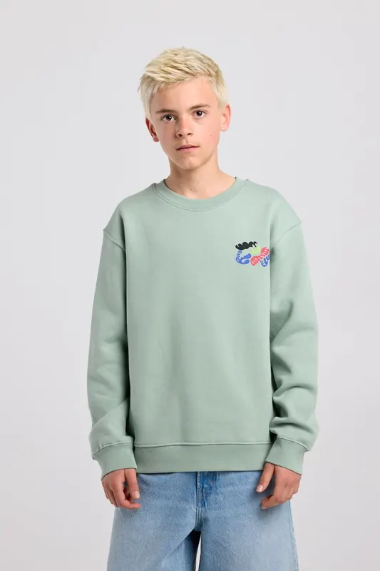 America Today Sheldon Crew Jr Sea Green Maat: 146/152 | Truien Outlet | kids | Groen