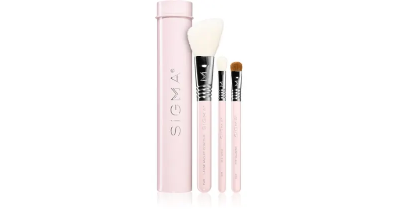 Sigma Beauty Zestaw podstawowych pędzli z etui