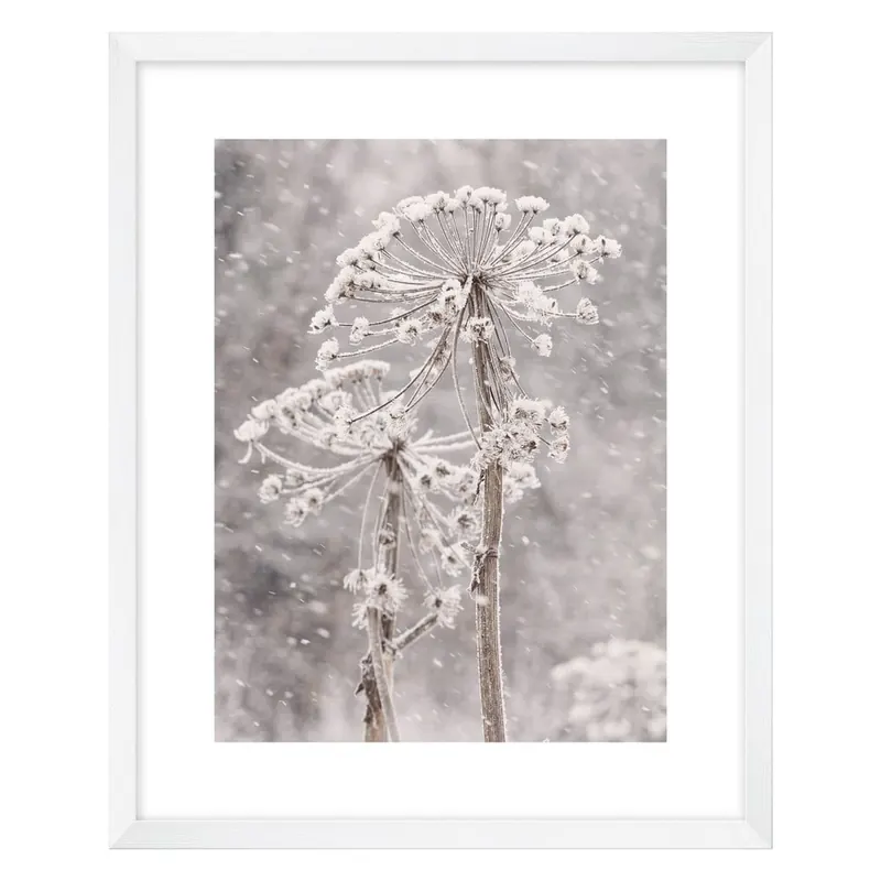 Obraz 40x50 cm Snow – knor