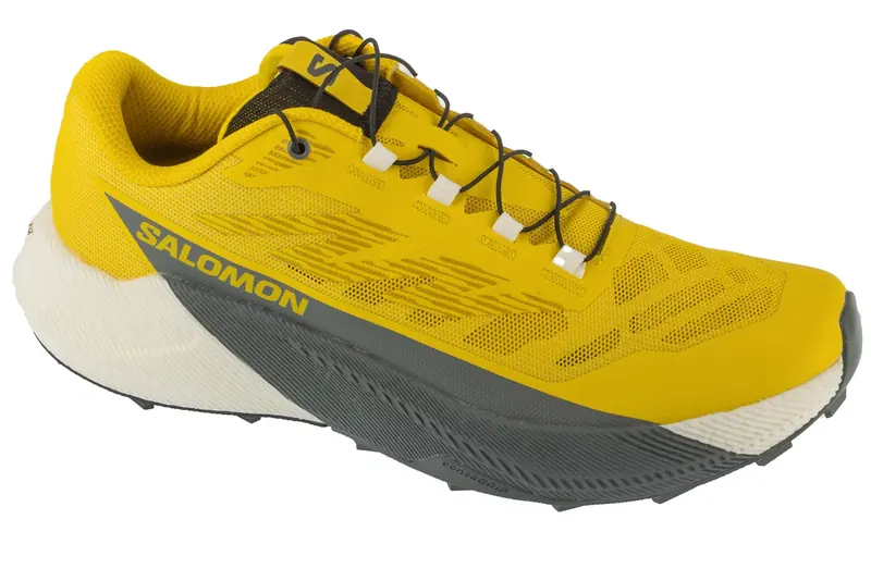 Salomon Pulsar L47973200, Męskie, Żółte, buty do biegania, tkanina, rozmiar: 41 1/3