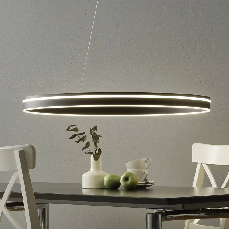 Paul Neuhaus Q-VITO wisząca LED 79cm antracyt