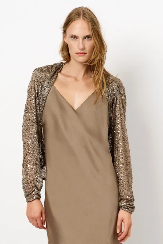 Dante6 Crazyabout Cardigan Stone Maat: S | Longsleeves Outlet | Dames | Beige