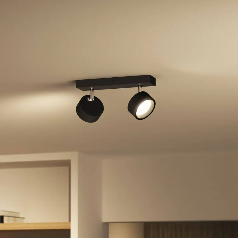Philips Bracia reflektor sufitowy LED 2-punktowy, czarny