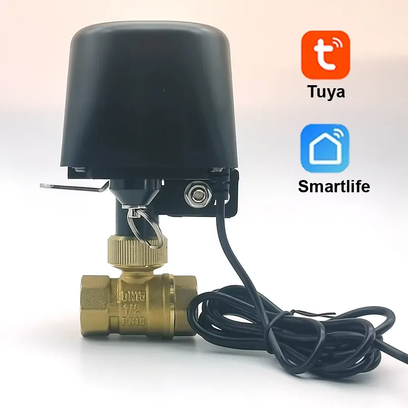 Inteligentny zawór wodny Tuya Zigbee WIFI DN15 DN20 DN25, sterowanie automatyzacją domową, timer do kranu, obsługa Alexa, Asystent Google, SmartLife
