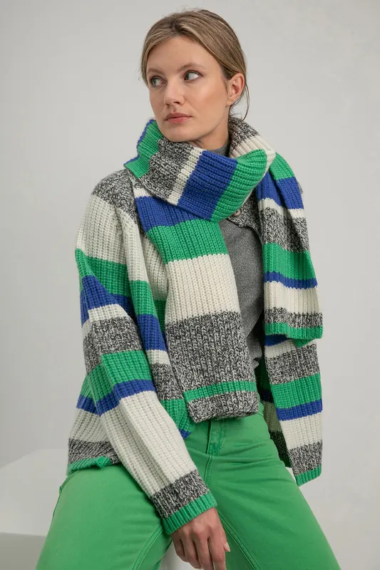 Josephine & Co Sabrina Scarf Parrot Green Stripe Maat: OS | Sjaals Outlet | Dames | Blauw