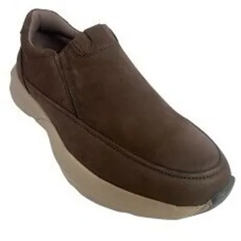 Paredes  Herrenschuhe Herrenschuh  riola cp25570 braun