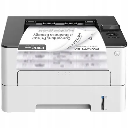 Pantum P3010DW Mono Laser Printer, A4