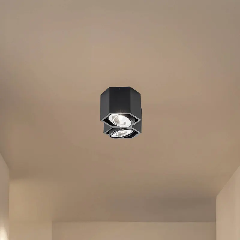Lampa sufitowa Elvas obrotowa 2-punktowa czarna