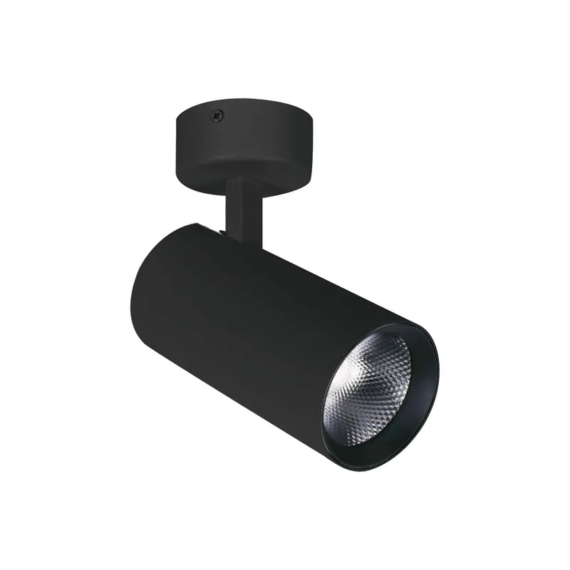 Reflektor sufitowy LED Nestor, czarny