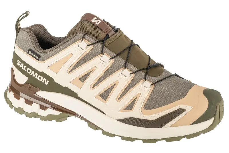 Salomon XA Pro 3D v9 GTX L47820200, Męskie, Zielone, buty do biegania, tkanina, rozmiar: 46 2/3