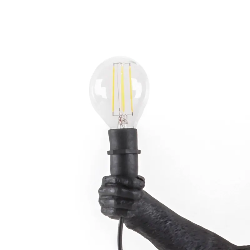 Żarówka LED SELETTI Monkey Lamp Outdoor E14 2 W 24 V/36 V