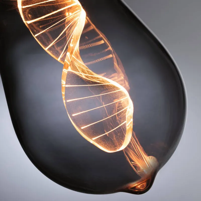 Żarówka LED Paulmann E27 3,5W Helix 1800K ST64 dymna