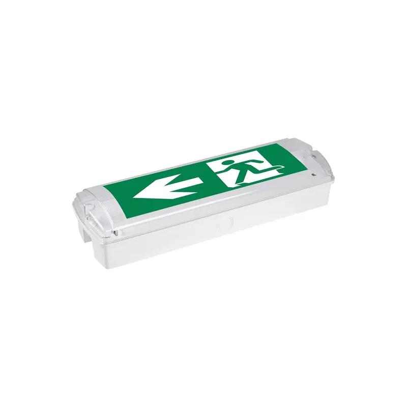 Oświetlenie drogi ewakuacyjnej Hamm LED, do wbudowania, IP65 6500K