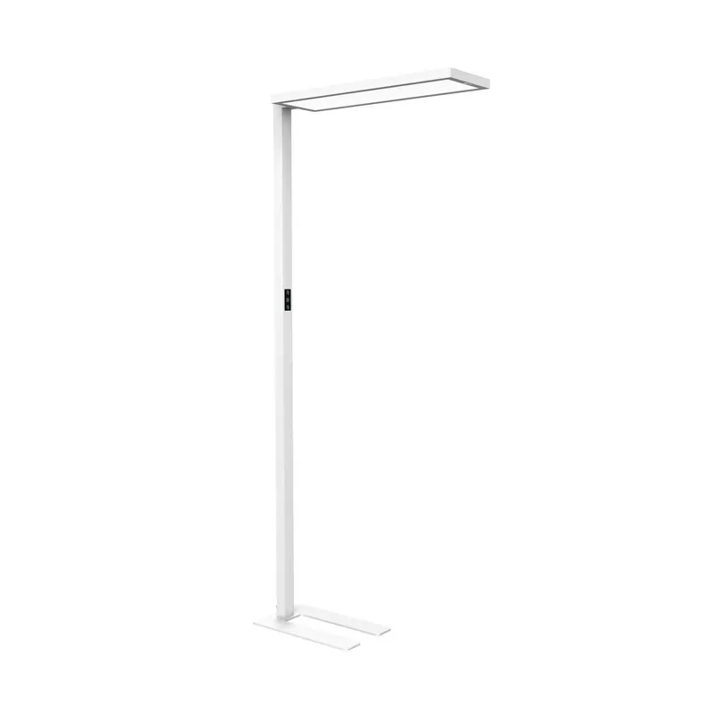 Lampa stojąca biurowa LED MAULsenja, biała, czujnik, wysokość 196 cm