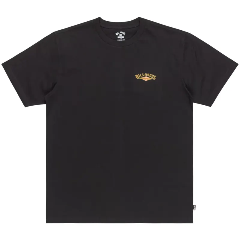 Billabong Dreamy Place Tee EBYZT00294-BLK, Męskie, Czarne, t-shirty, bawełna, rozmiar: S